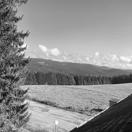 Au P'Tit Nid Douillet De Lea Daire Muhlbach-sur-Munster Dış mekan fotoğraf